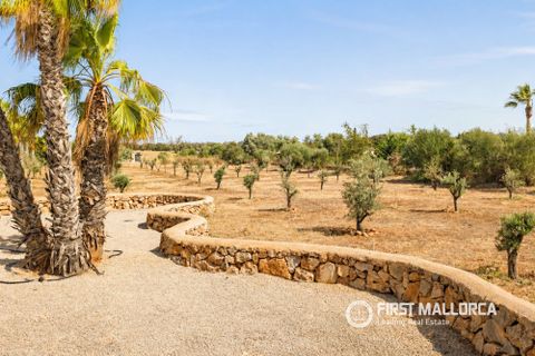 Finca i Santanyi, Mallorca, Santanyi - € 2.750.000 | Ref: 84004 - foto 37
