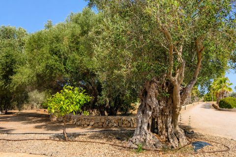 Finca i Santanyi, Mallorca, Santanyi - € 2.750.000 | Ref: 84004 - foto 39
