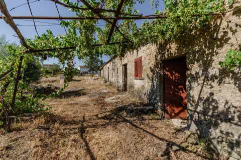 Helårsgrund i Covilha, Castelo Branco, Covilha - € 90.000 | Ref: 111260137 - foto 1