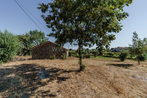 Helårsgrund i Covilha, Castelo Branco, Covilha - € 90.000 | Ref: 111260137 - foto 5