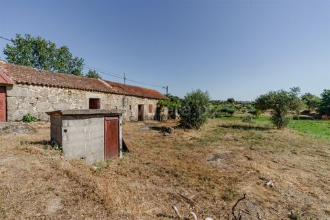 Helårsgrund i Covilha, Castelo Branco, Covilha - € 90.000 | Ref: 111260137 - foto 7