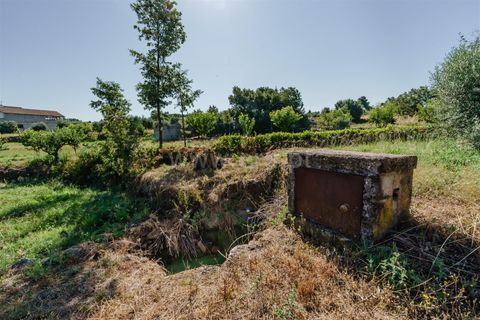 Helårsgrund i Covilha, Castelo Branco, Covilha - € 90.000 | Ref: 111260137 - foto 8