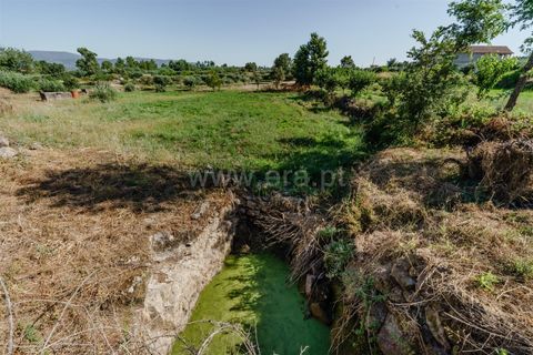 Helårsgrund i Covilha, Castelo Branco, Covilha - € 90.000 | Ref: 111260137 - foto 9