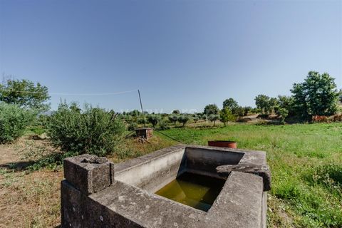 Helårsgrund i Covilha, Castelo Branco, Covilha - € 90.000 | Ref: 111260137 - foto 12