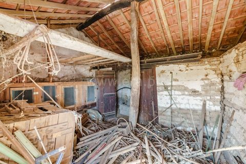 Helårsgrund i Covilha, Castelo Branco, Covilha - € 90.000 | Ref: 111260137 - foto 14