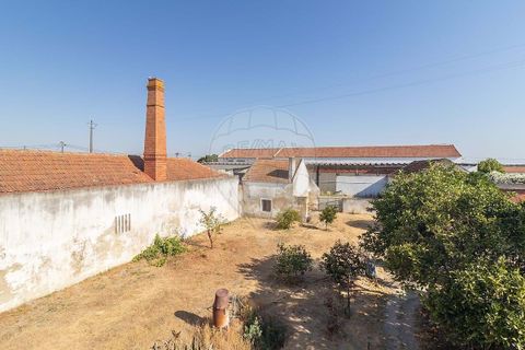 Villa a Palmela, Setubal, Palmela - € 235.000 | Ref: 125921169-578 - foto 19