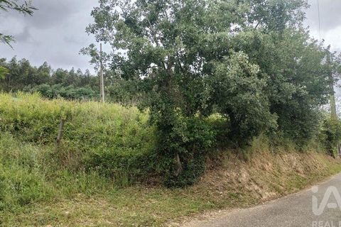 Helårsgrund i Coimbra, Coimbra, Coimbra - € 10.000 | Ref: 957521 - foto 1