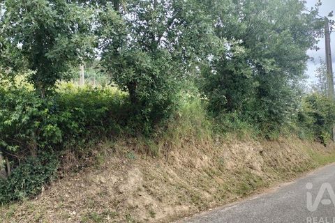 Helårsgrund i Coimbra, Coimbra, Coimbra - € 10.000 | Ref: 957521 - foto 4