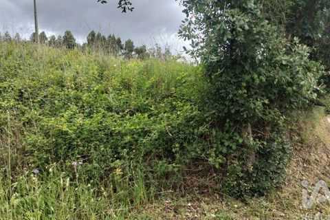 Helårsgrund i Coimbra, Coimbra, Coimbra - € 10.000 | Ref: 957521 - foto 6