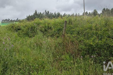 Helårsgrund i Coimbra, Coimbra, Coimbra - € 10.000 | Ref: 957521 - foto 7