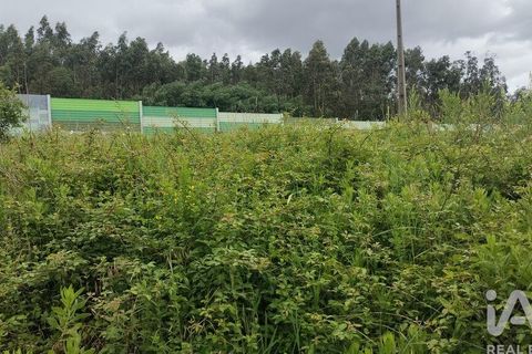 Helårsgrund i Coimbra, Coimbra, Coimbra - € 10.000 | Ref: 957521 - foto 8