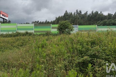 Helårsgrund i Coimbra, Coimbra, Coimbra - € 10.000 | Ref: 957521 - foto 9
