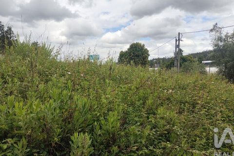 Helårsgrund i Coimbra, Coimbra, Coimbra - € 10.000 | Ref: 957521 - foto 10