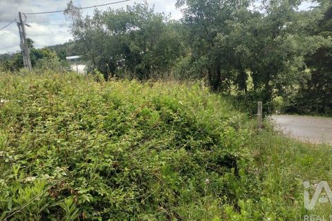 Helårsgrund i Coimbra, Coimbra, Coimbra - € 10.000 | Ref: 957521 - foto 11