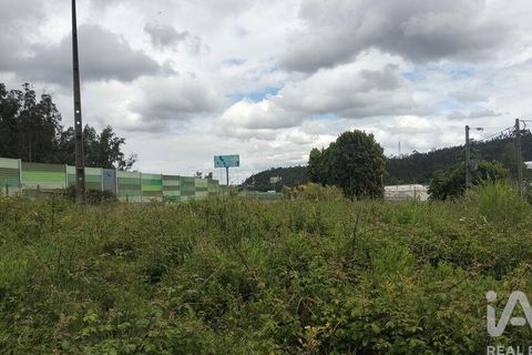 Helårsgrund i Coimbra, Coimbra, Coimbra - € 10.000 | Ref: 957521 - foto 13