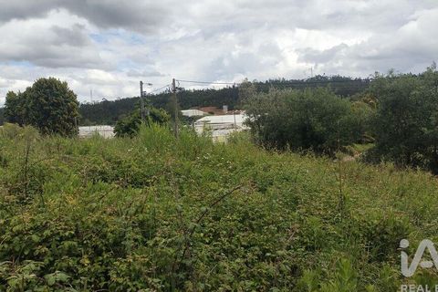 Helårsgrund i Coimbra, Coimbra, Coimbra - € 10.000 | Ref: 957521 - foto 14