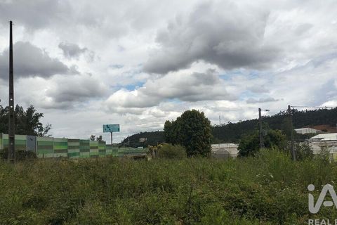 Helårsgrund i Coimbra, Coimbra, Coimbra - € 10.000 | Ref: 957521 - foto 15
