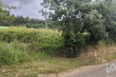 Helårsgrund i Coimbra, Coimbra, Coimbra - € 10.000 | Ref: 957521 - foto 17
