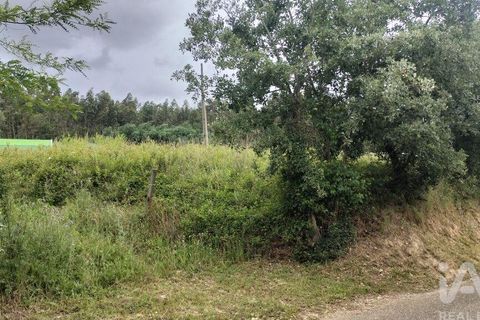 Helårsgrund i Coimbra, Coimbra, Coimbra - € 10.000 | Ref: 957521 - foto 18