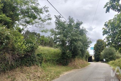 Helårsgrund i Coimbra, Coimbra, Coimbra - € 10.000 | Ref: 957521 - foto 19