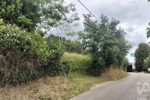 Helårsgrund i Coimbra, Coimbra, Coimbra - € 10.000 | Ref: 957521 - foto 20