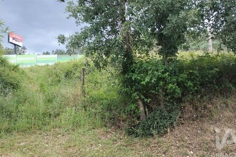 Helårsgrund i Coimbra, Coimbra, Coimbra - € 10.000 | Ref: 957521 - foto 21