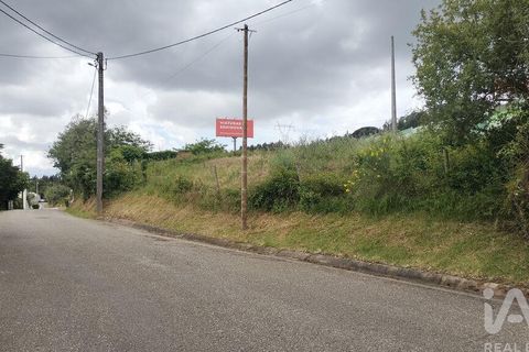 Helårsgrund i Coimbra, Coimbra, Coimbra - € 10.000 | Ref: 957521 - foto 24