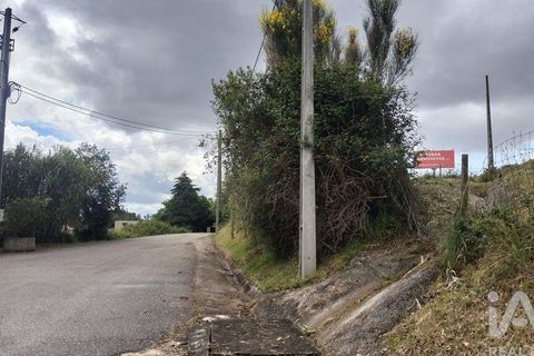Helårsgrund i Coimbra, Coimbra, Coimbra - € 10.000 | Ref: 957521 - foto 26