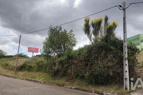 Helårsgrund i Coimbra, Coimbra, Coimbra - € 10.000 | Ref: 957521 - foto 27