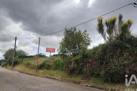 Helårsgrund i Coimbra, Coimbra, Coimbra - € 10.000 | Ref: 957521 - foto 28