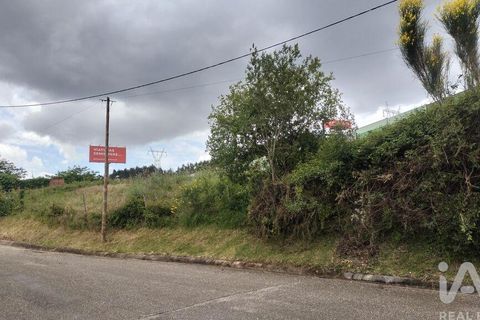 Helårsgrund i Coimbra, Coimbra, Coimbra - € 10.000 | Ref: 957521 - foto 29