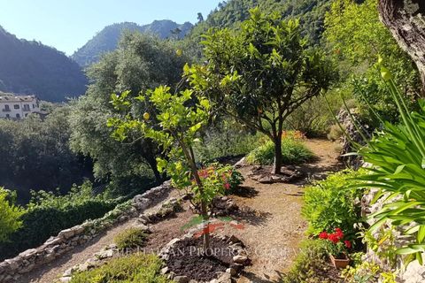 Villa i Airole, Imperia, Airole - € 160 000 | Ref: D443 - foto 24