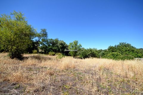 Villa i Loule, Faro, Loule - € 470.000 | Ref: 1009-2418 - foto 38