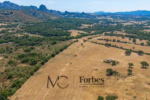 Terra a Tempio Pausania, Olbia Tempio, Tempio Pausania - € 560.000 | Ref: TEV-04-26 - foto 2