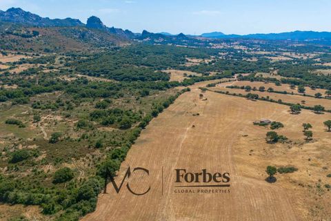 Terra a Tempio Pausania, Olbia Tempio, Tempio Pausania - € 560.000 | Ref: TEV-04-26 - foto 3