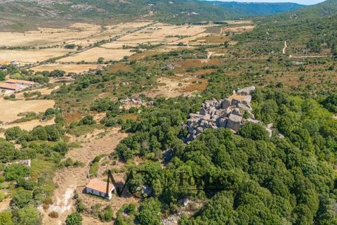 Terra a Tempio Pausania, Olbia Tempio, Tempio Pausania - € 560.000 | Ref: TEV-04-26 - foto 4