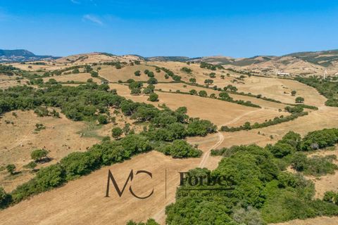 Terra a Tempio Pausania, Olbia Tempio, Tempio Pausania - € 560.000 | Ref: TEV-04-26 - foto 6