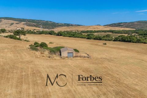 Terra a Tempio Pausania, Olbia Tempio, Tempio Pausania - € 560.000 | Ref: TEV-04-26 - foto 8