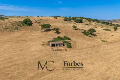 Terra a Tempio Pausania, Olbia Tempio, Tempio Pausania - € 560.000 | Ref: TEV-04-26 - foto 9