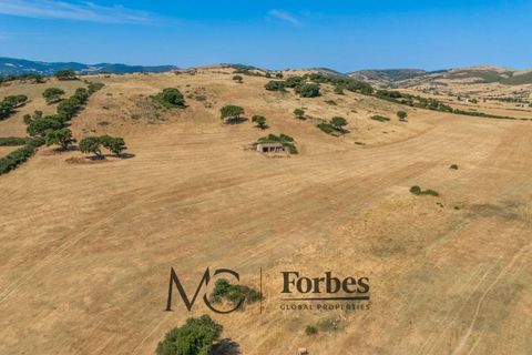 Terra a Tempio Pausania, Olbia Tempio, Tempio Pausania - € 560.000 | Ref: TEV-04-26 - foto 10