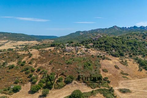 Terra a Tempio Pausania, Olbia Tempio, Tempio Pausania - € 560.000 | Ref: TEV-04-26 - foto 13