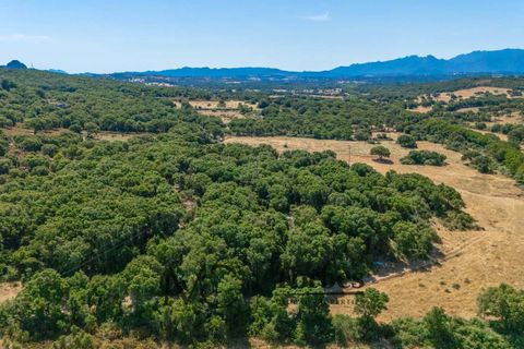 Terra a Tempio Pausania, Olbia Tempio, Tempio Pausania - € 560.000 | Ref: TEV-04-26 - foto 15