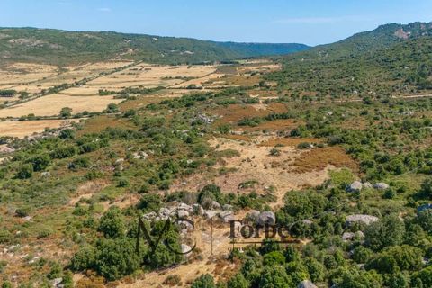 Terra a Tempio Pausania, Olbia Tempio, Tempio Pausania - € 560.000 | Ref: TEV-04-26 - foto 16