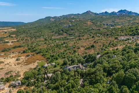 Terra a Tempio Pausania, Olbia Tempio, Tempio Pausania - € 560.000 | Ref: TEV-04-26 - foto 17