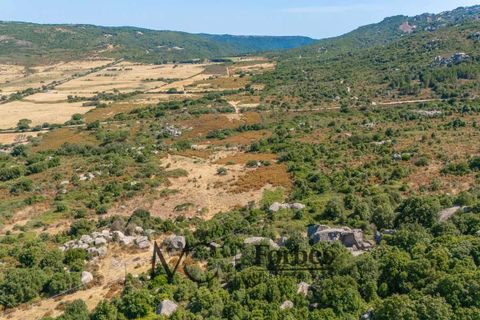 Terra a Tempio Pausania, Olbia Tempio, Tempio Pausania - € 560.000 | Ref: TEV-04-26 - foto 18