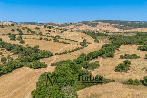 Terra a Tempio Pausania, Olbia Tempio, Tempio Pausania - € 560.000 | Ref: TEV-04-26 - foto 20