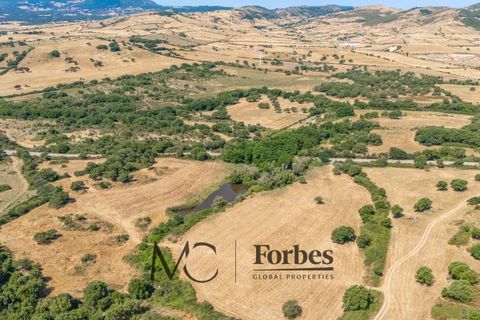 Terra a Tempio Pausania, Olbia Tempio, Tempio Pausania - € 560.000 | Ref: TEV-04-26 - foto 23