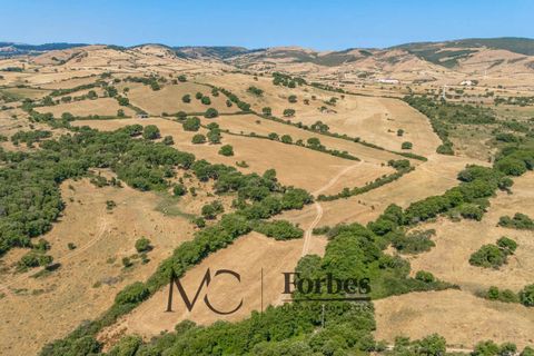 Terra a Tempio Pausania, Olbia Tempio, Tempio Pausania - € 560.000 | Ref: TEV-04-26 - foto 24