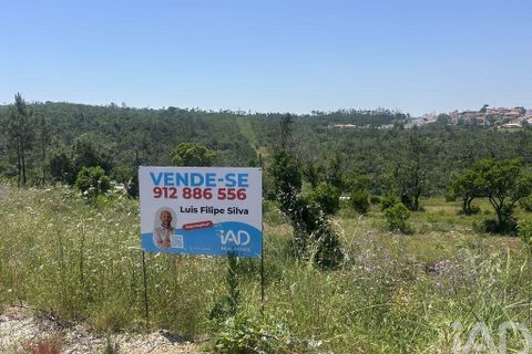 Tomt i Pombal, Leiria, Pombal - € 70 000 | Ref: 945957 - foto 3