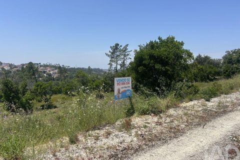 Tomt i Pombal, Leiria, Pombal - € 70 000 | Ref: 945957 - foto 5